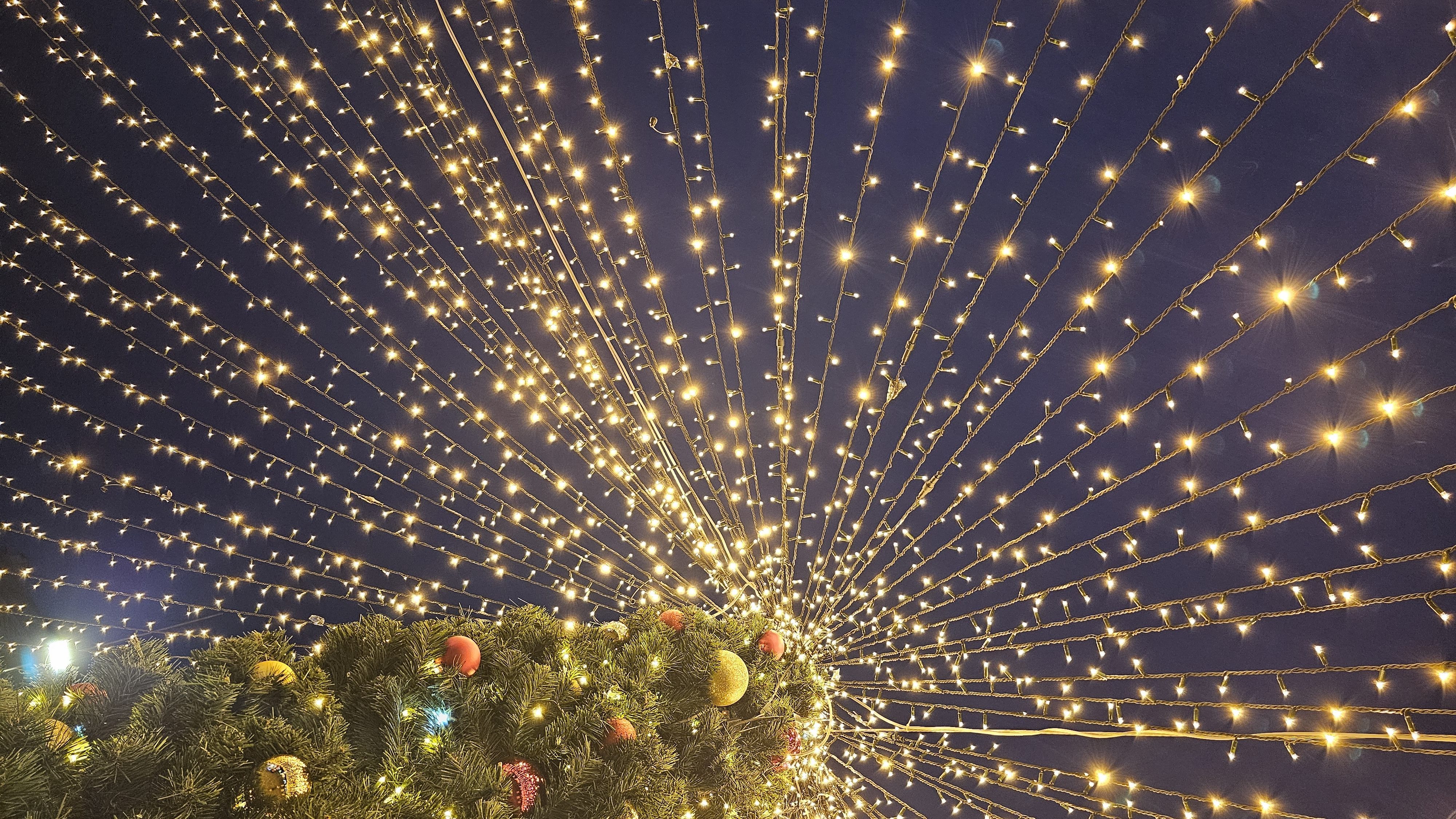 JAHRESRÜCKBLICK 2025: HIGHLIGHTS, LEARNINGS & DANKBARKEIT